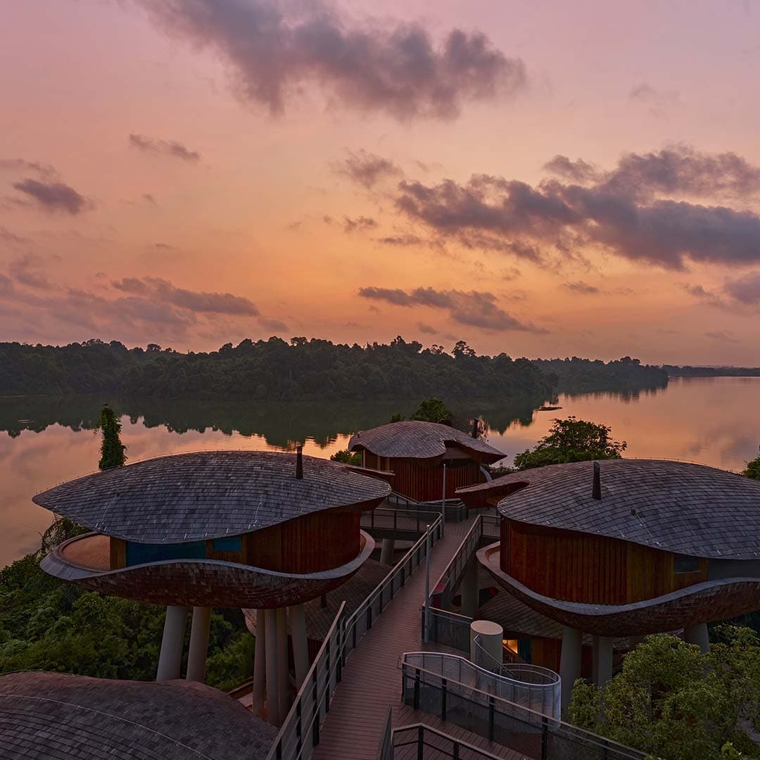 Mandai_0.jpg