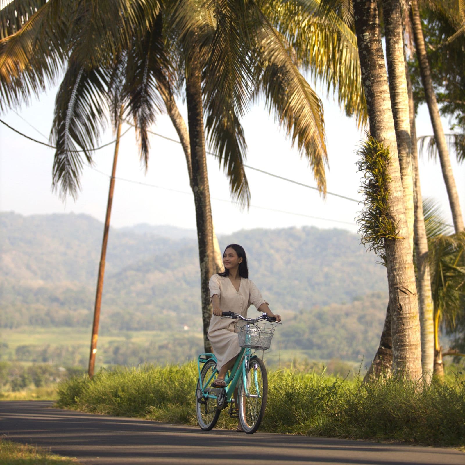 eco-ride-1.jpg