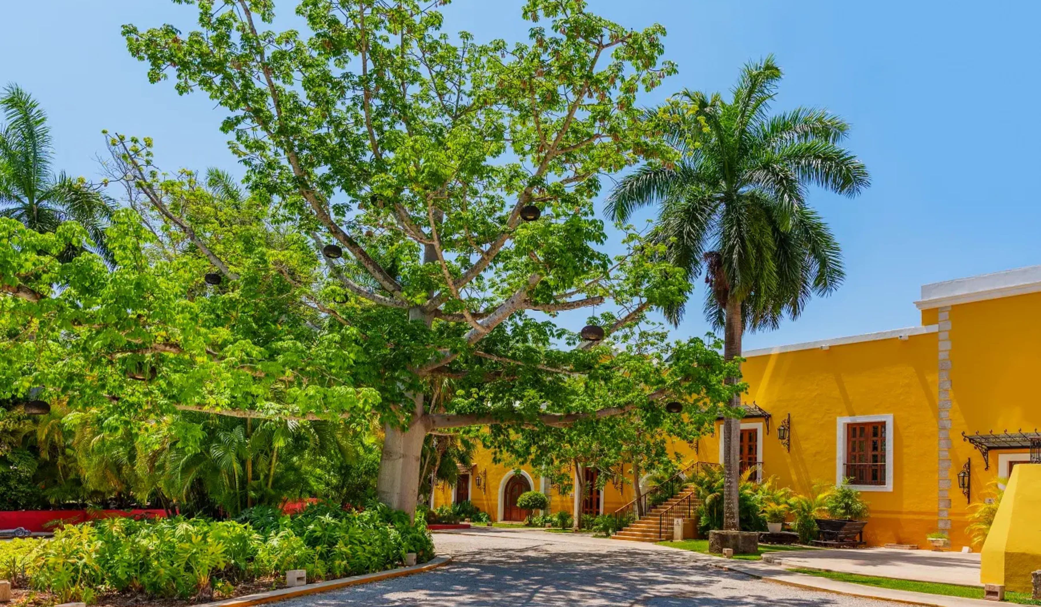offer-banner-hacienda-xcanatun