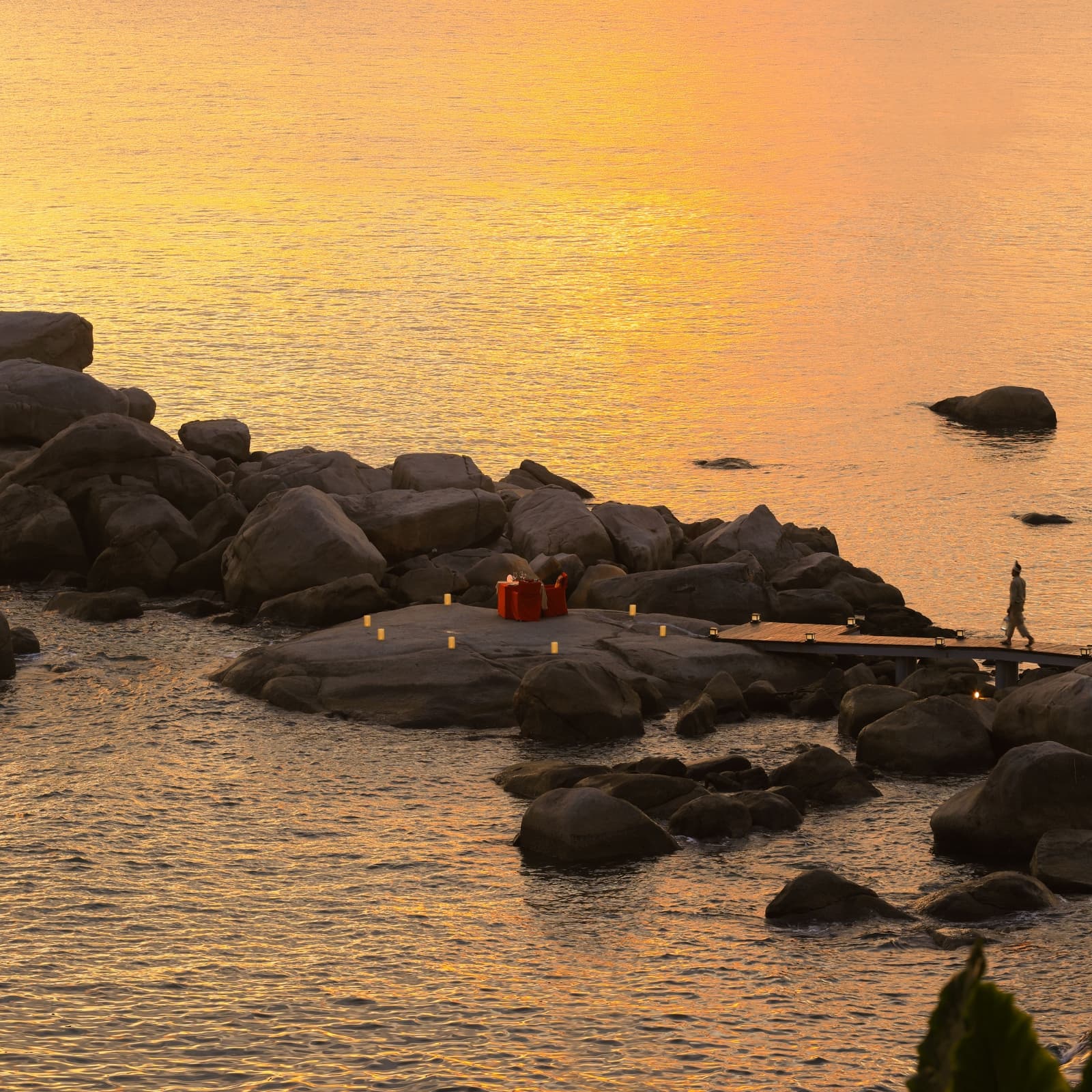 Dinner on the rock.jpg