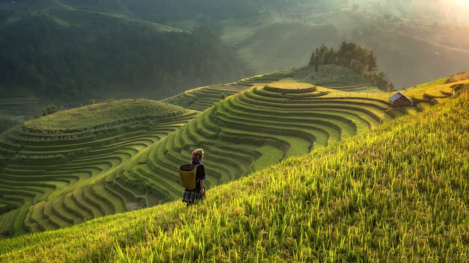 homepage-explore-country-vietnam