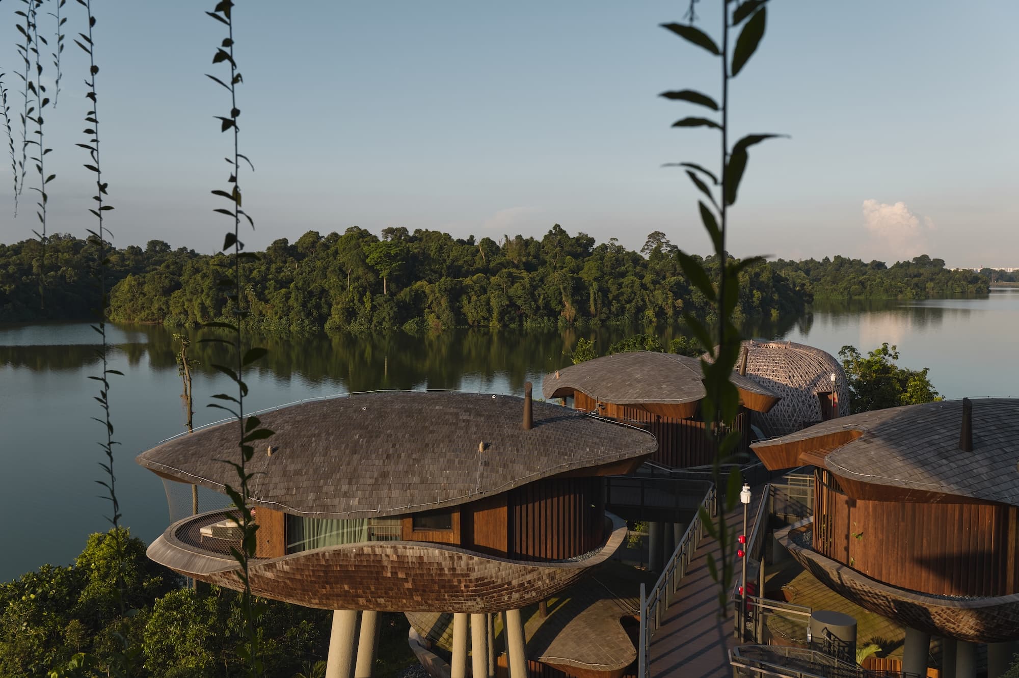 Mandai Rainforest Resort by Banyan Tree UGC - Softer Volume