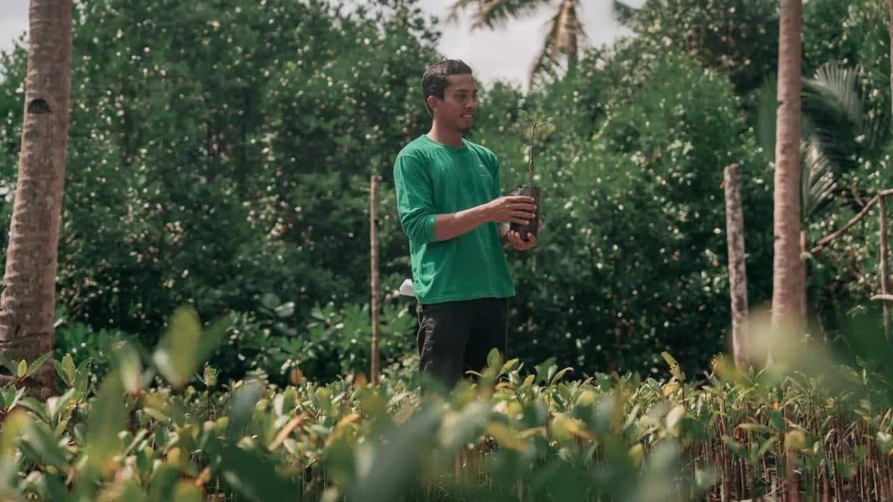 Cassia Bintan Stay for Good - Mangrove Planting